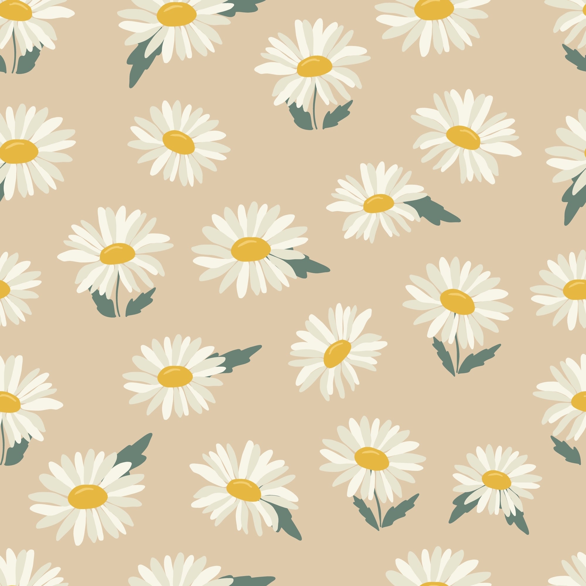 Daisy Dreamscape